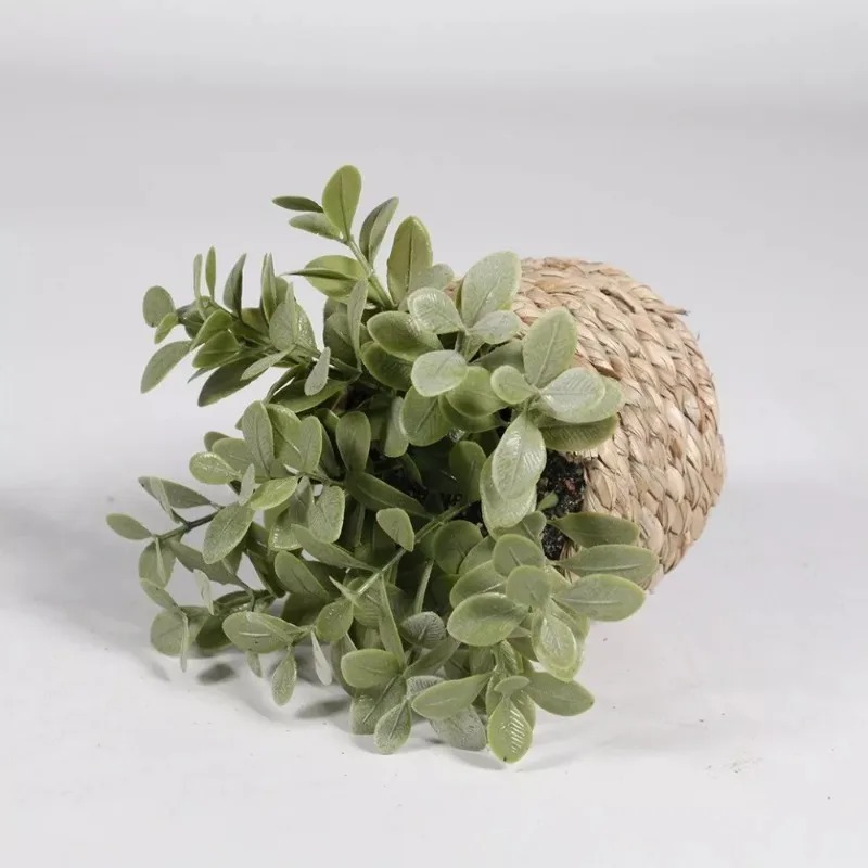 Home Office Layout - 1 pièce, petites plantes artificielles vertes