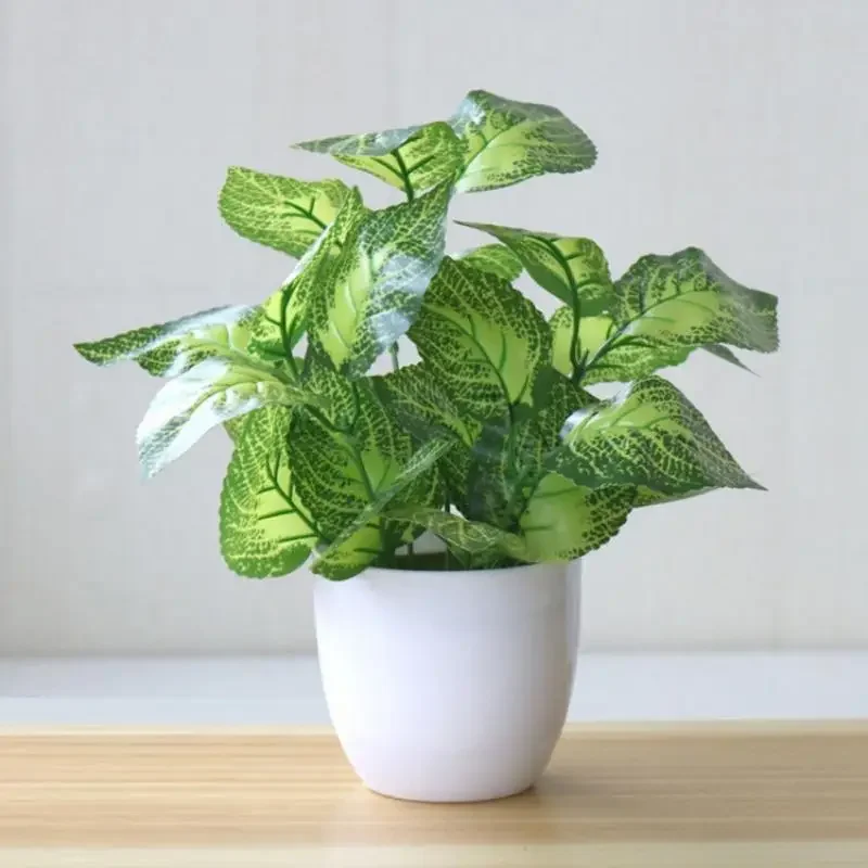 Home Office Layout - Plantes artificielles, bonsaïs, plantes décoratives, accessoires