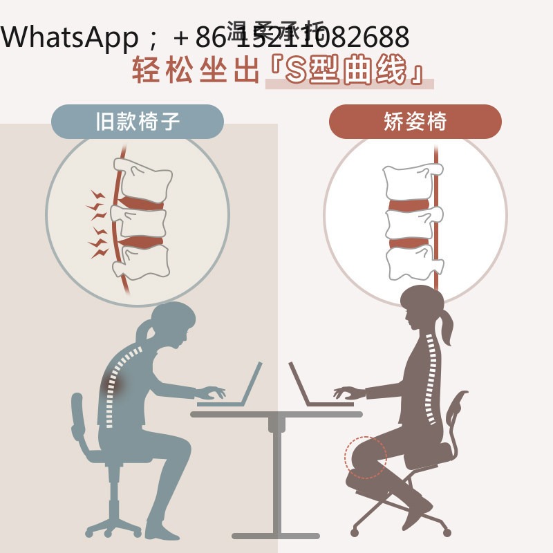 Chaise de bureau ergonomique L - Ergonomic Office Chair avis et prix