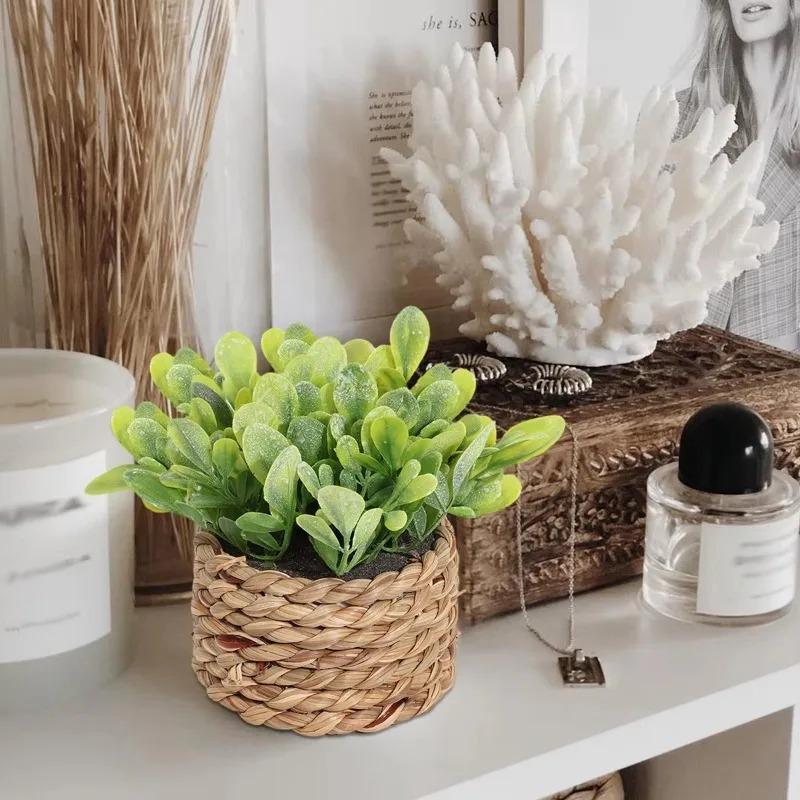 Plante en Pot, petites fausses - Home Office Layout avis et prix