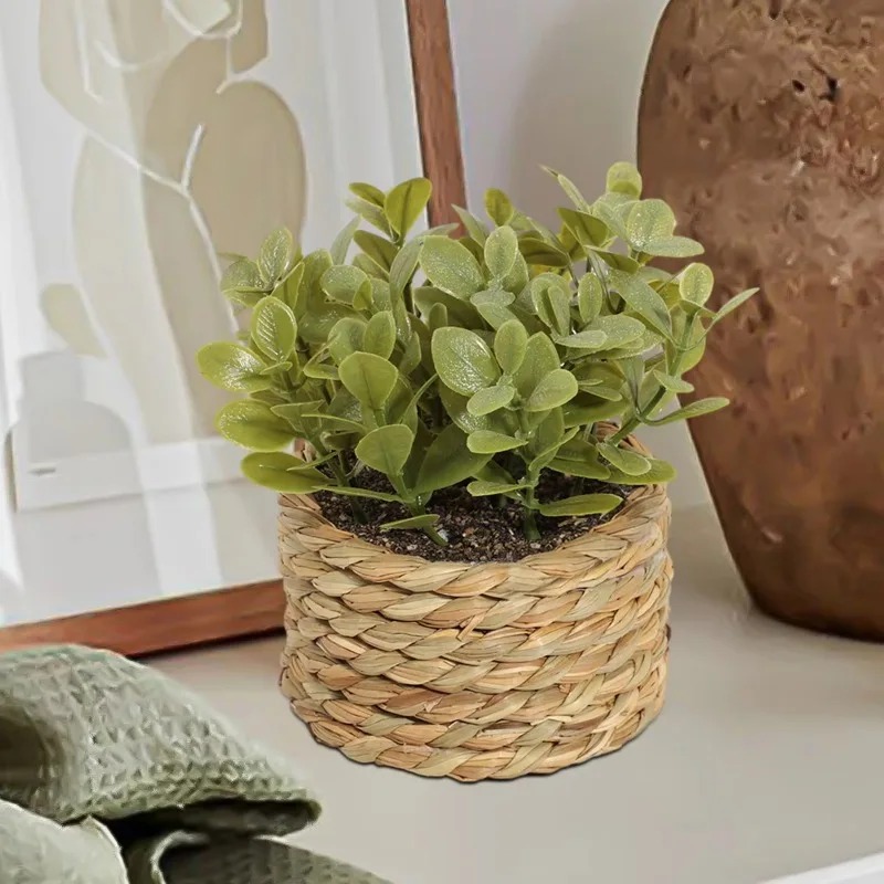 1 pièce, petites plantes artif - Home Office Layout avis et prix