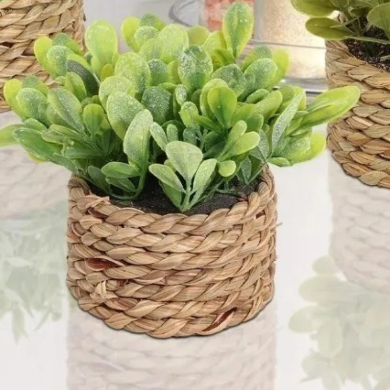 1 pièce, petites plantes artif - Home Office Layout avis et prix